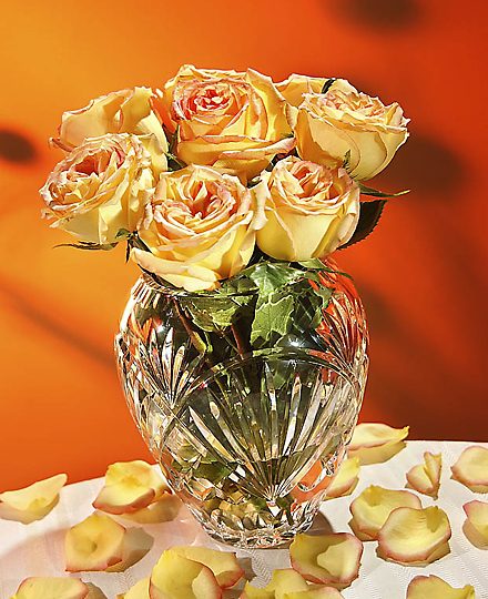 Peach roses in a crystal vase with scattered petals